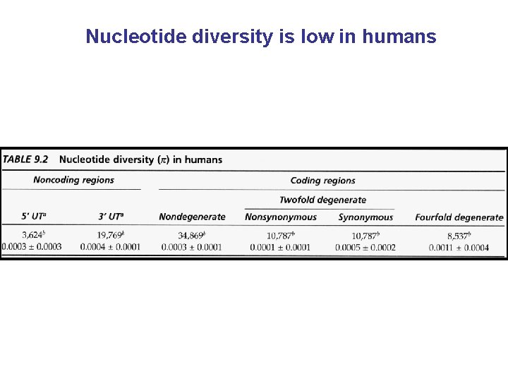 Nucleotide diversity is low in humans 