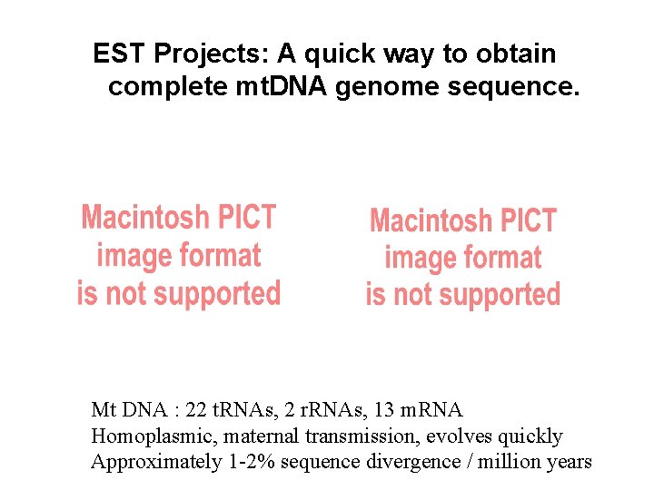 EST Projects: A quick way to obtain complete mt. DNA genome sequence. Mt DNA