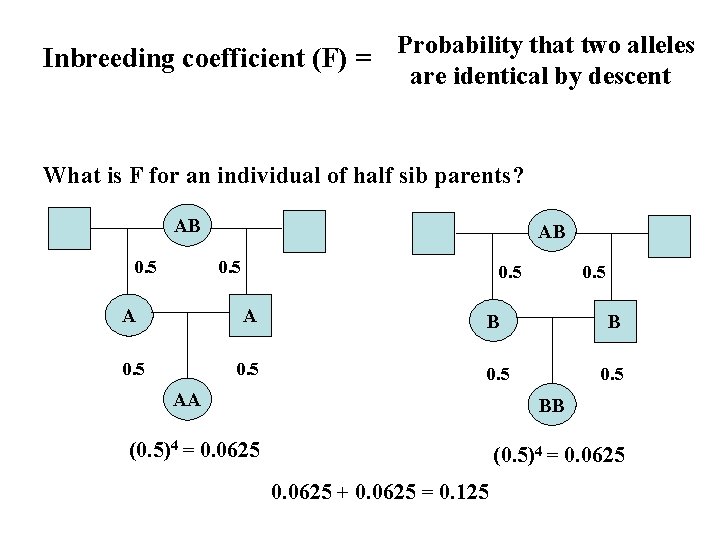 Inbreeding coefficient (F) = Probability that two alleles are identical by descent What is