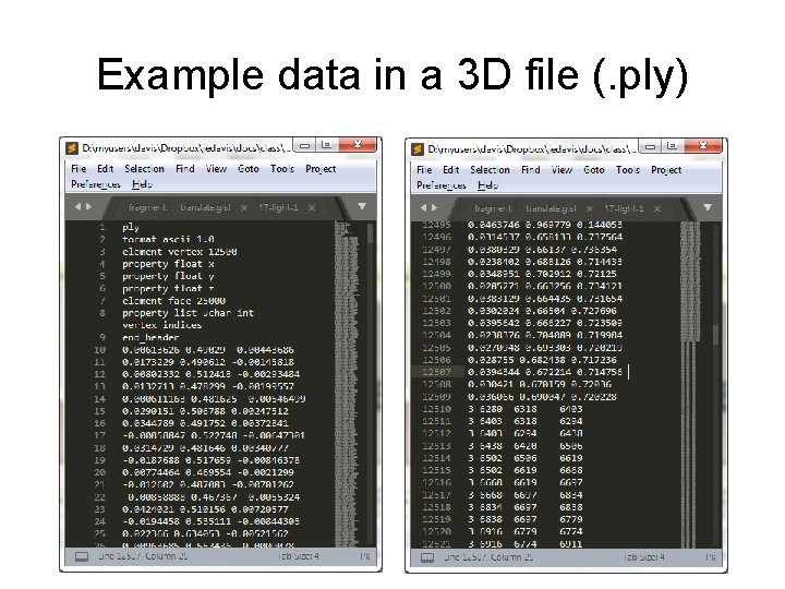 Example data in a 3 D file (. ply) Example data in a 3 D file (. ply)