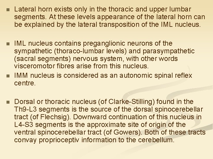 n Lateral horn exists only in the thoracic and upper lumbar segments. At these