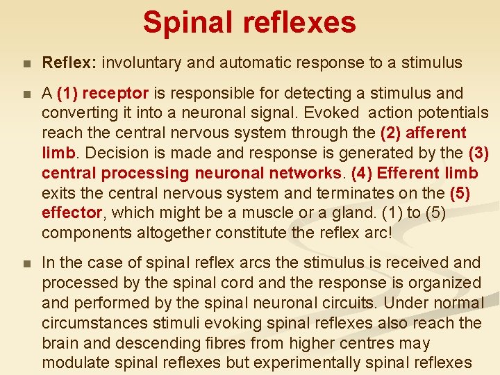 Spinal reflexes n Reflex: involuntary and automatic response to a stimulus n A (1)