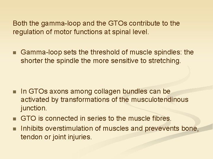 Both the gamma-loop and the GTOs contribute to the regulation of motor functions at