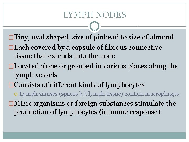 LYMPH NODES �Tiny, oval shaped, size of pinhead to size of almond �Each covered