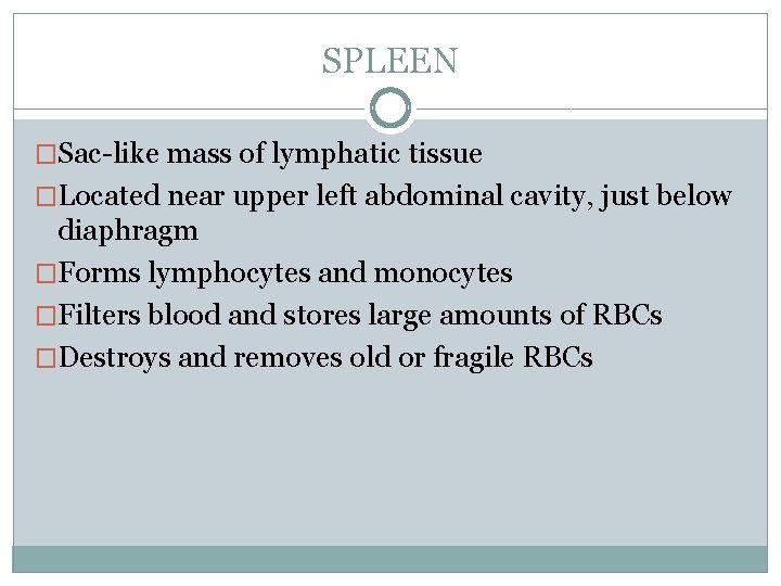 SPLEEN �Sac-like mass of lymphatic tissue �Located near upper left abdominal cavity, just below