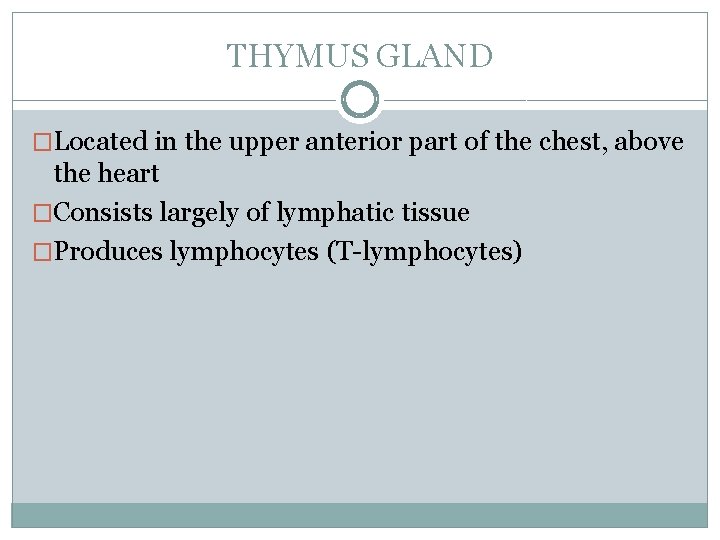 THYMUS GLAND �Located in the upper anterior part of the chest, above the heart
