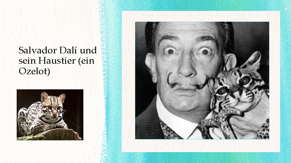 Salvador Dalí und sein Haustier (ein Ozelot) 