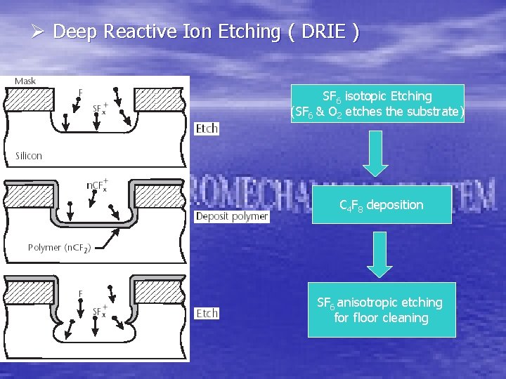 Ø Deep Reactive Ion Etching ( DRIE ) SF 6 isotopic Etching (SF 6 Ø Deep Reactive Ion Etching ( DRIE ) SF 6 isotopic Etching (SF 6