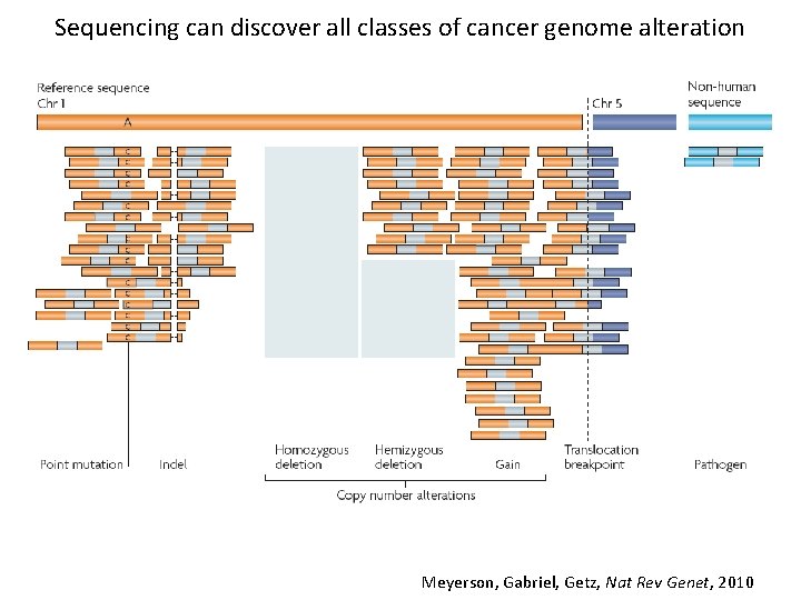 Sequencing can discover all classes of cancer genome alteration Meyerson, Gabriel, Getz, Nat Rev