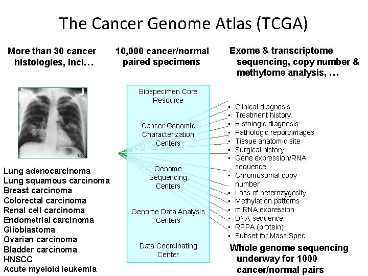 The Cancer Genome Atlas (TCGA) More than 30 cancer histologies, incl… 10, 000 cancer/normal