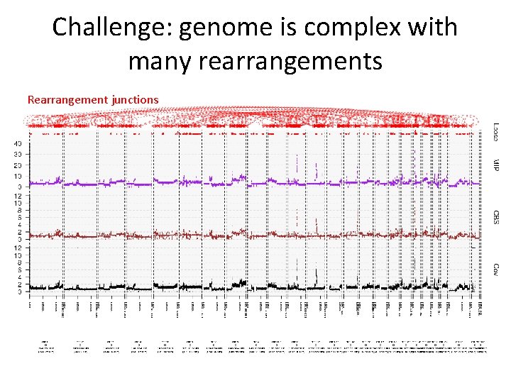 Challenge: genome is complex with many rearrangements Rearrangement junctions 