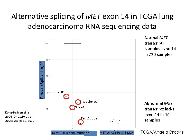 Alternative splicing of MET exon 14 in TCGA lung adenocarcinoma RNA sequencing data Percent