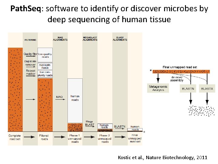 Path. Seq: software to identify or discover microbes by deep sequencing of human tissue