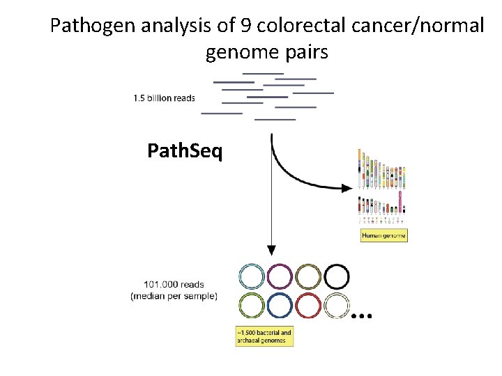 Pathogen analysis of 9 colorectal cancer/normal genome pairs Path. Seq 