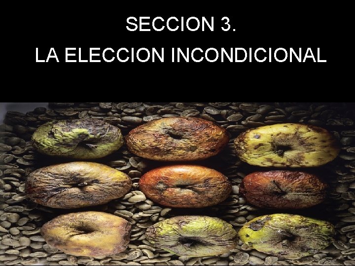 SECCION 3. LA ELECCION INCONDICIONAL 