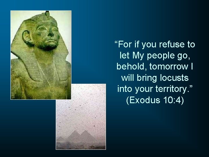 “For if you refuse to let My people go, behold, tomorrow I will bring