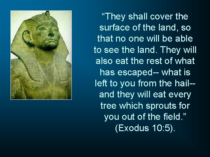 “They shall cover the surface of the land, so that no one will be