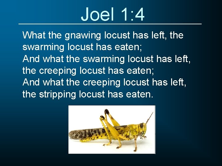 Joel 1: 4 What the gnawing locust has left, the swarming locust has eaten;