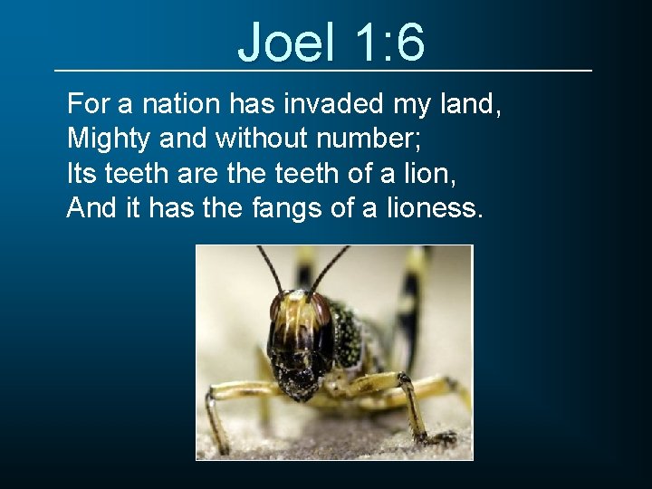 Joel 1: 6 For a nation has invaded my land, Mighty and without number;
