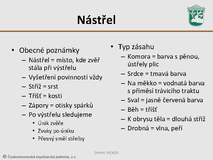 Nástřel • Typ zásahu • Obecné poznámky – Nástřel = místo, kde zvěř stála