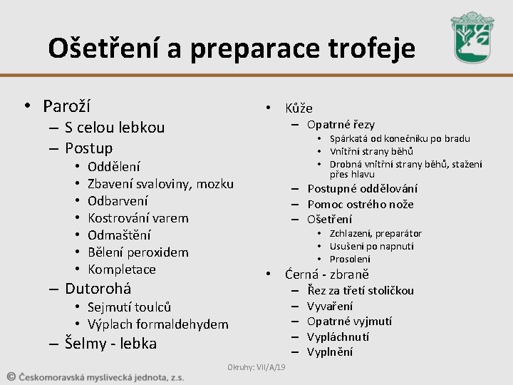 Ošetření a preparace trofeje • Paroží • Kůže – Opatrné řezy – S celou