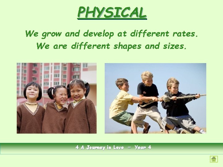 PHYSICAL We grow and develop at different rates. We are different shapes and sizes.