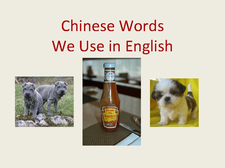 Chinese Words We Use in English 