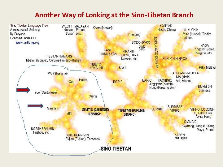 Another Way of Looking at the Sino-Tibetan Branch 