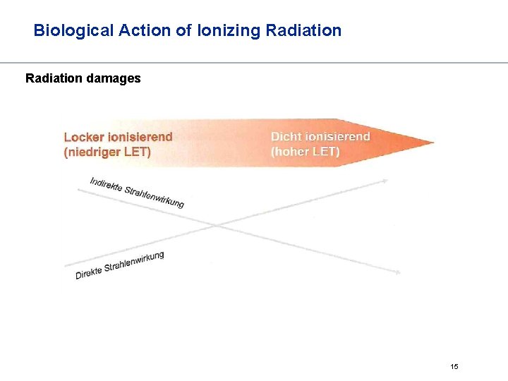 Biological Action of Ionizing Radiation damages 15 