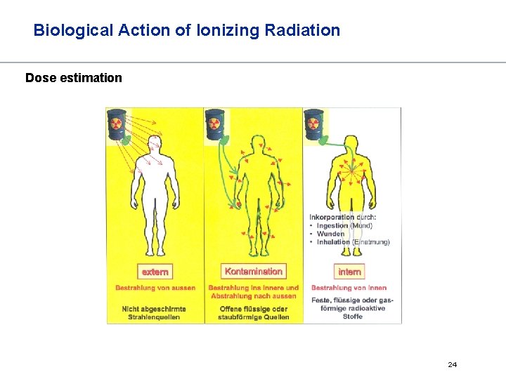 Biological Action of Ionizing Radiation Dose estimation 24 