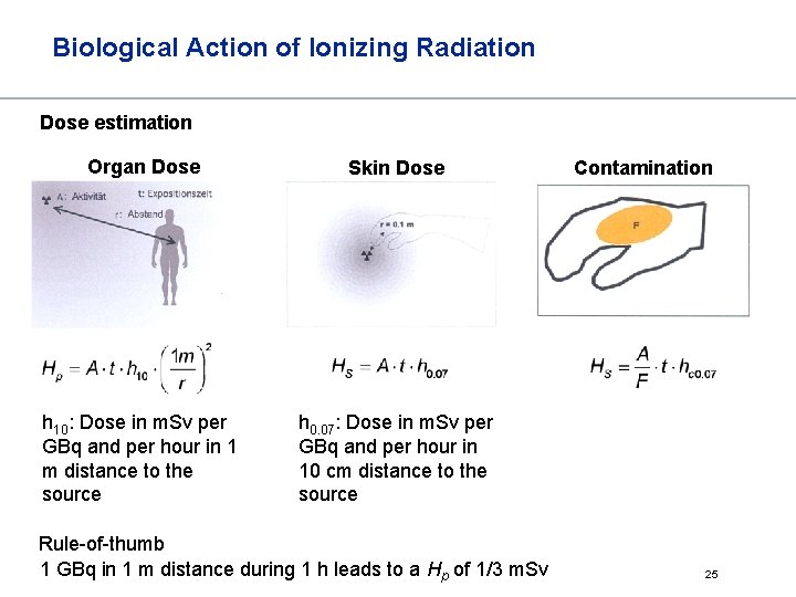 Biological Action of Ionizing Radiation Dose estimation Organ Dose Skin Dose h 10: Dose