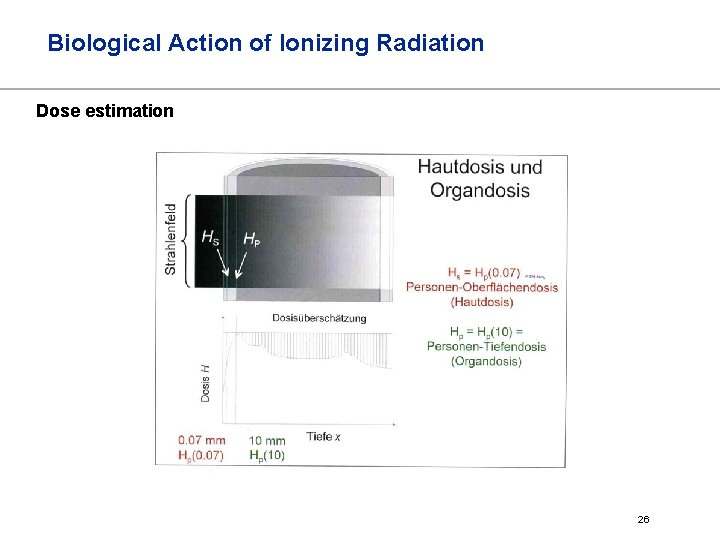 Biological Action of Ionizing Radiation Dose estimation 26 