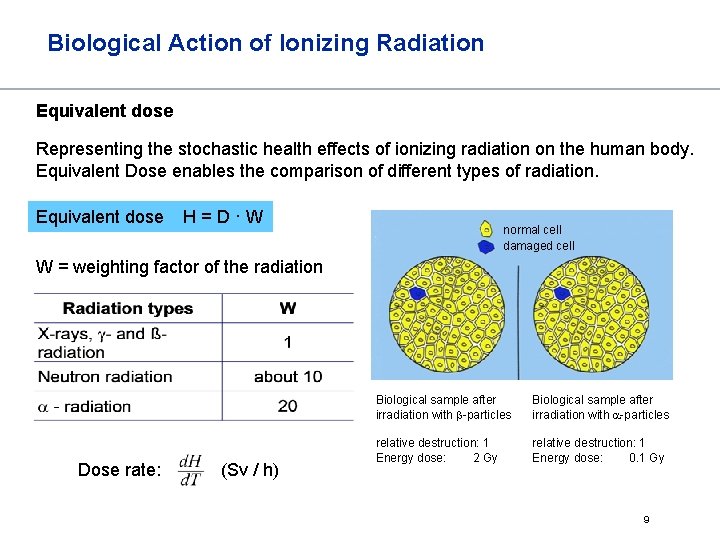 Biological Action of Ionizing Radiation Equivalent dose Representing the stochastic health effects of ionizing