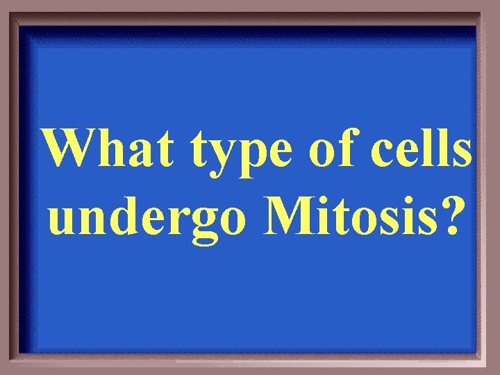 What type of cells undergo Mitosis? 