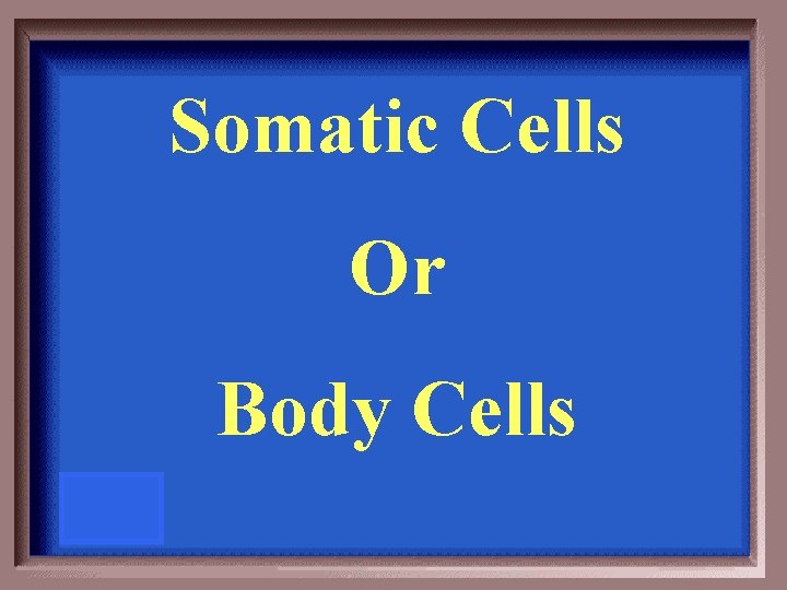 Somatic Cells Or Body Cells 