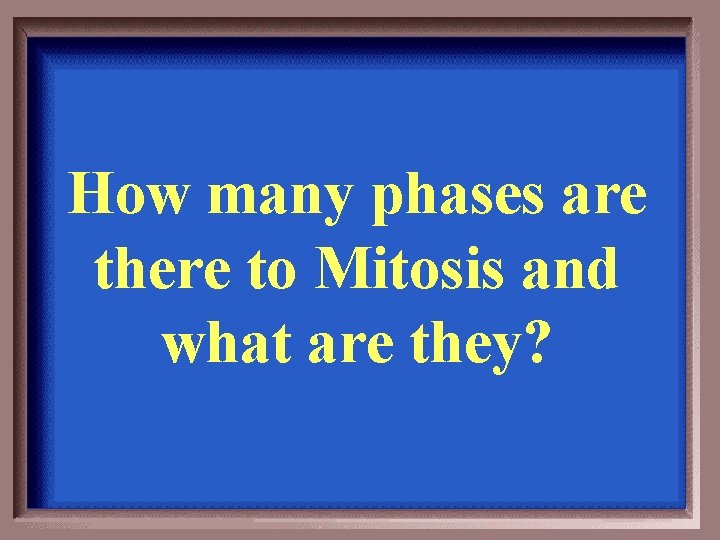 How many phases are there to Mitosis and what are they? 