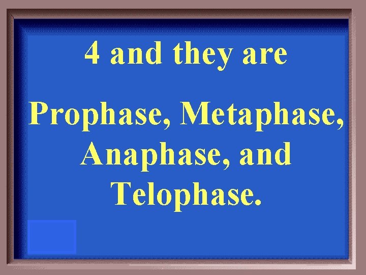 4 and they are Prophase, Metaphase, Anaphase, and Telophase. 