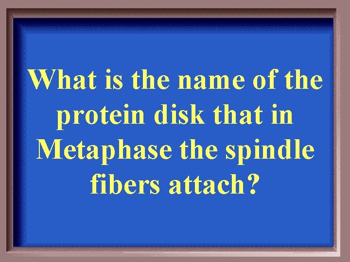 What is the name of the protein disk that in Metaphase the spindle fibers