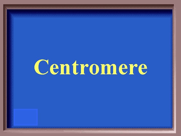 Centromere 