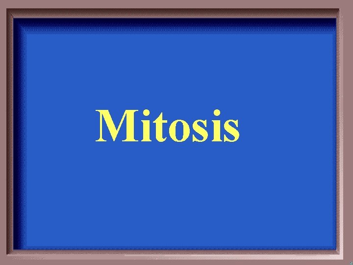 Mitosis 