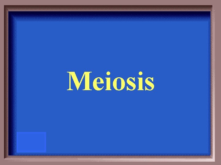 Meiosis 