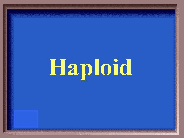 Haploid 