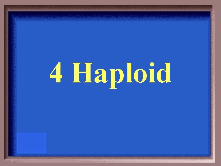 4 Haploid 