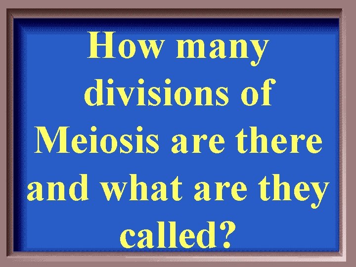How many divisions of Meiosis are there and what are they called? 