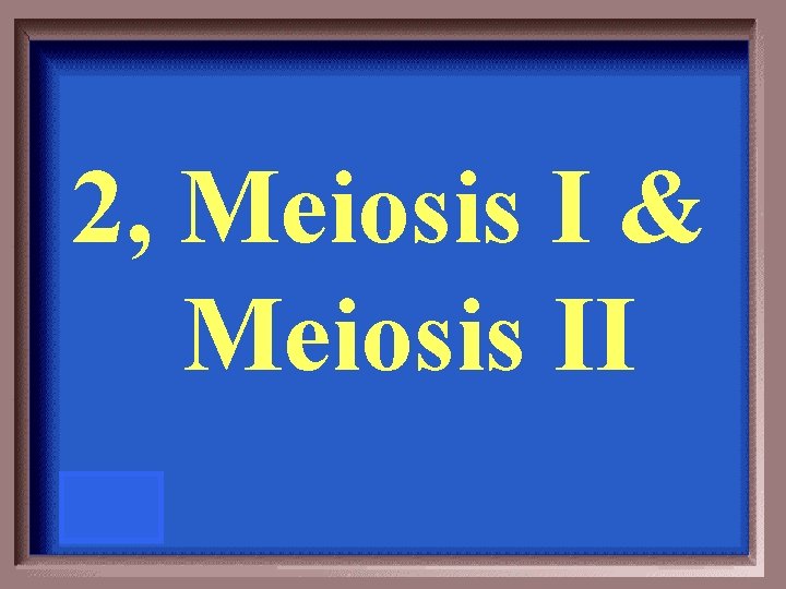 2, Meiosis I & Meiosis II 