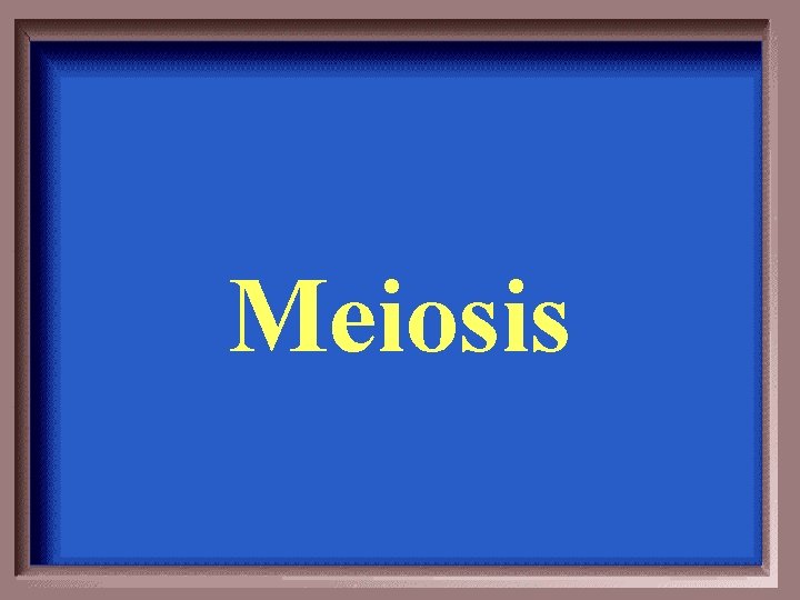 Meiosis 