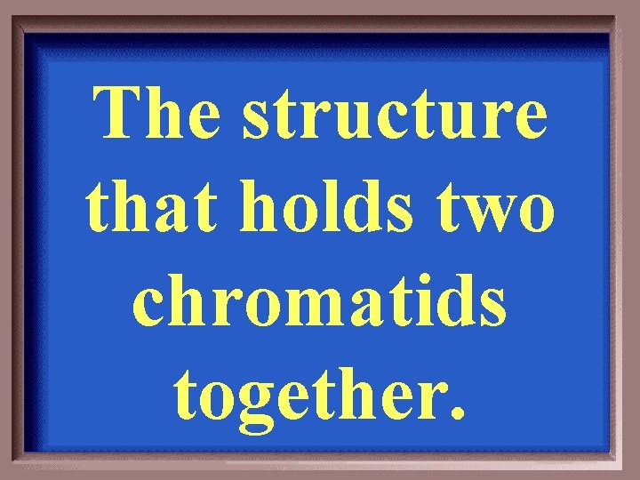 The structure that holds two chromatids together. 