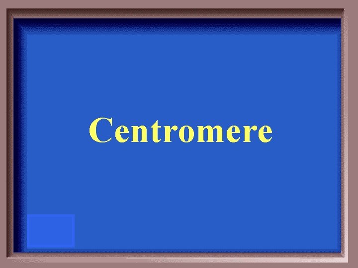 Centromere 