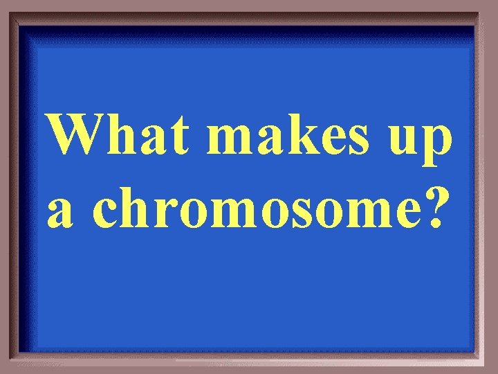 What makes up a chromosome? 