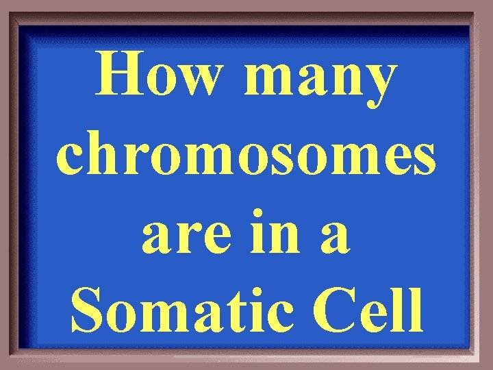 How many chromosomes are in a Somatic Cell 